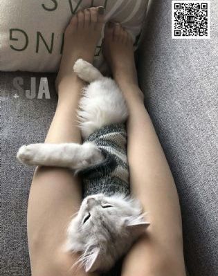 一生有你电视剧免费观看完整版_国产剧免费在线播放