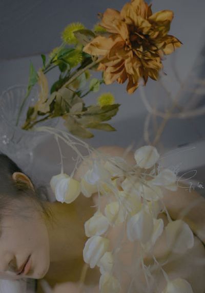 藤本紫媛_1080P在线播放